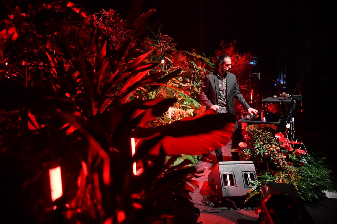 tersan puglia, concerto piante 5