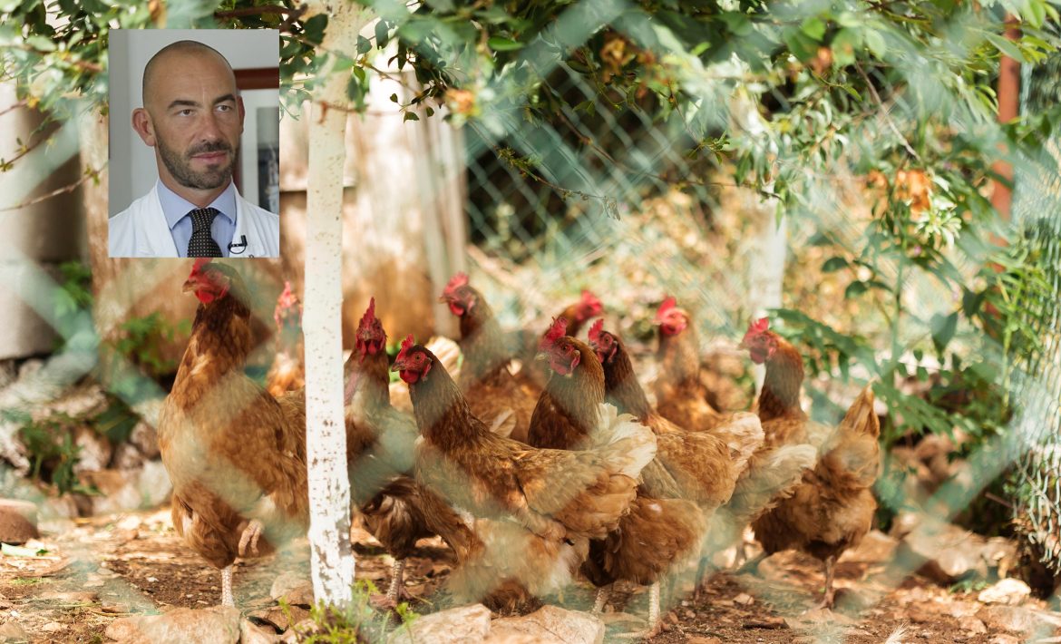 aviaria matteo bassetti ph. https://it.freepik.com/