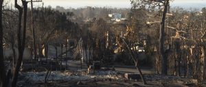 incendi los angeles