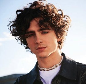 timothée chalamet 1