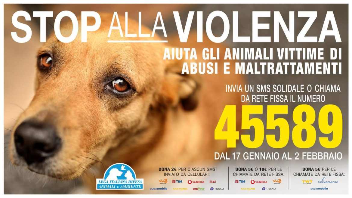 STOP violenza animali
