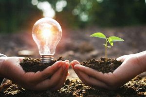 bioeconomia (ph web)