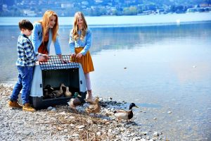 michela vittoria brambilla dalla parte degli animali 2