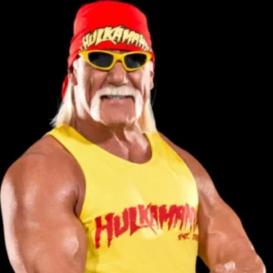 hulk hogan 2
