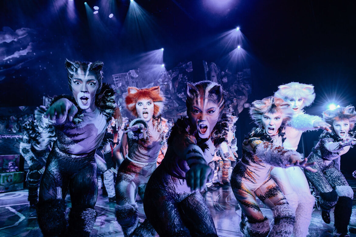 cats themusical ph press