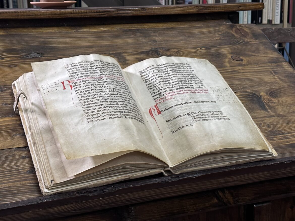 assisi festival creature 3