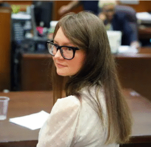 Anna Sorokin al processo ph ig