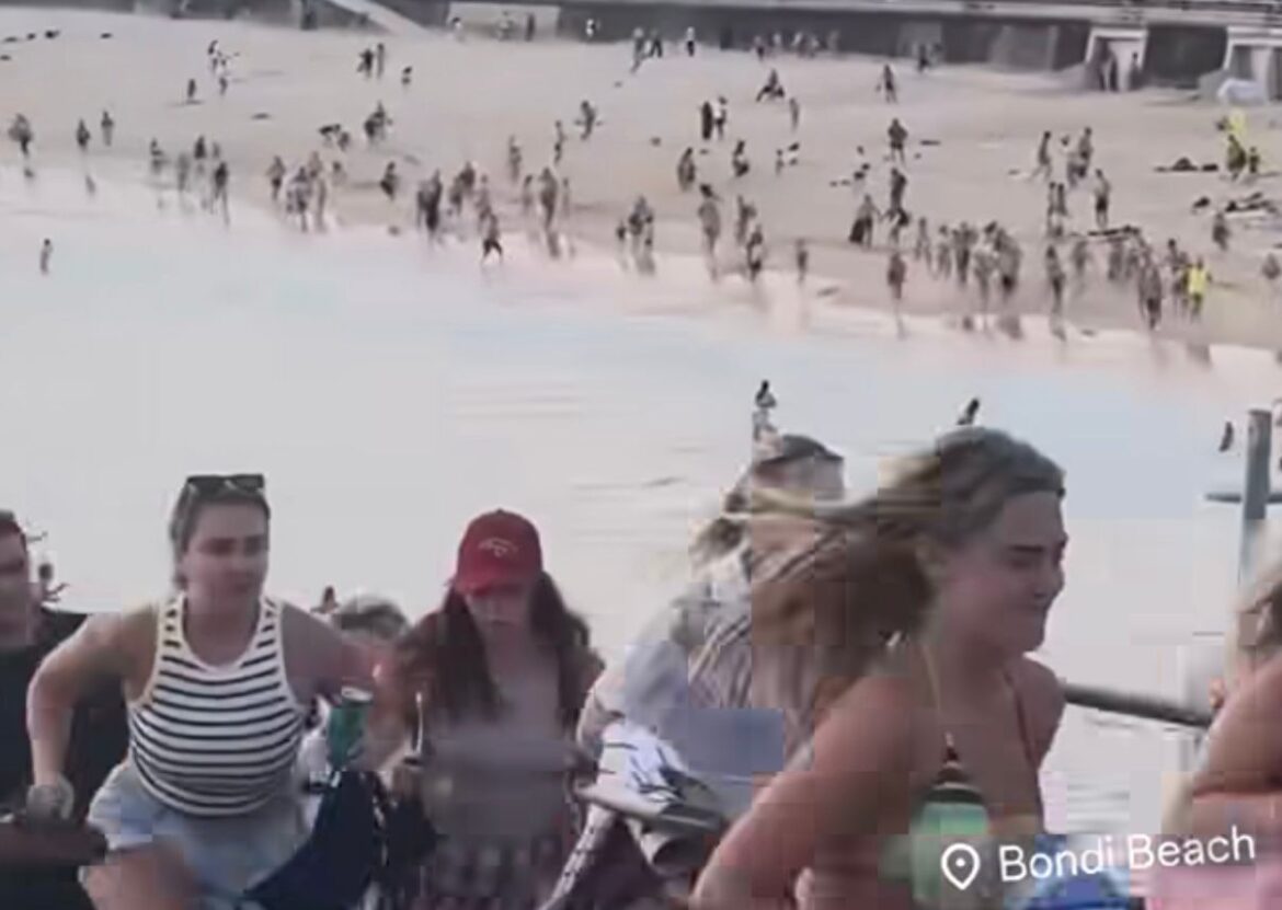 attentato bondi beach ph ig