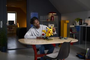 pikachu and poke ball