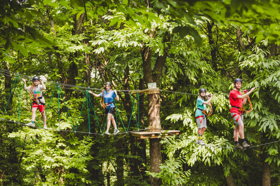 wonderwood spina verde ph press1