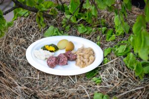 carnia friulana ph press