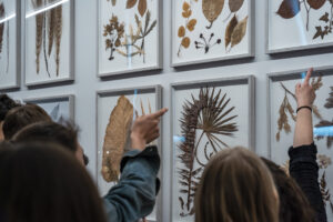 fdv museo scienze naturali