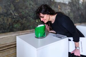 sogni di natura sala boschereccia foto giorgio bianchi comune di bologna