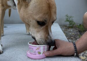 The Pet Society Brunch ph Press